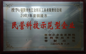 长江 2007铜陵市民营科技示范企业